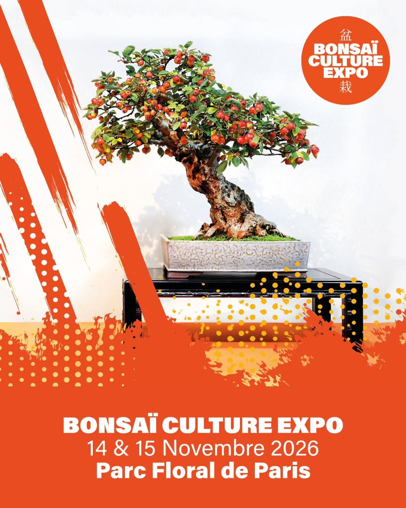 bonsai-culture-expo